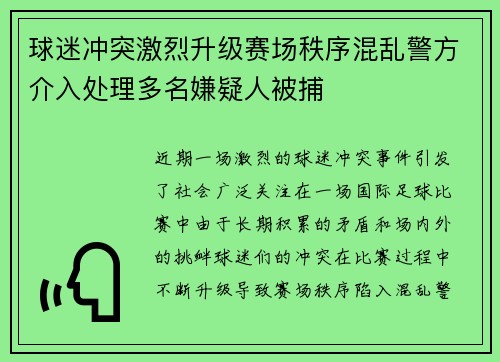 球迷冲突激烈升级赛场秩序混乱警方介入处理多名嫌疑人被捕